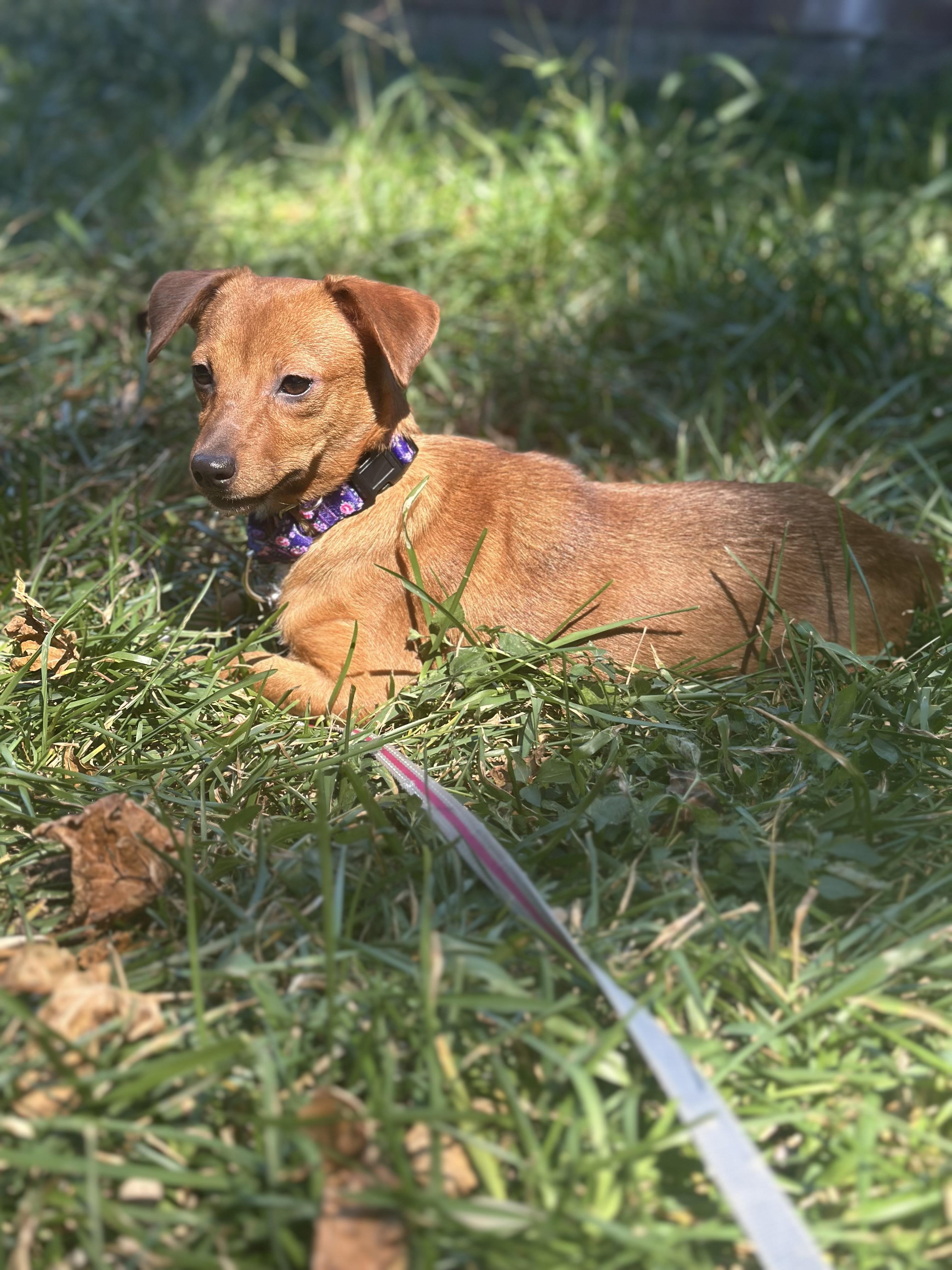 Lucy