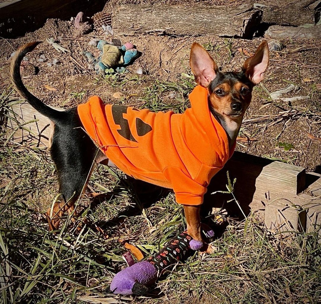 Roxie photo 2