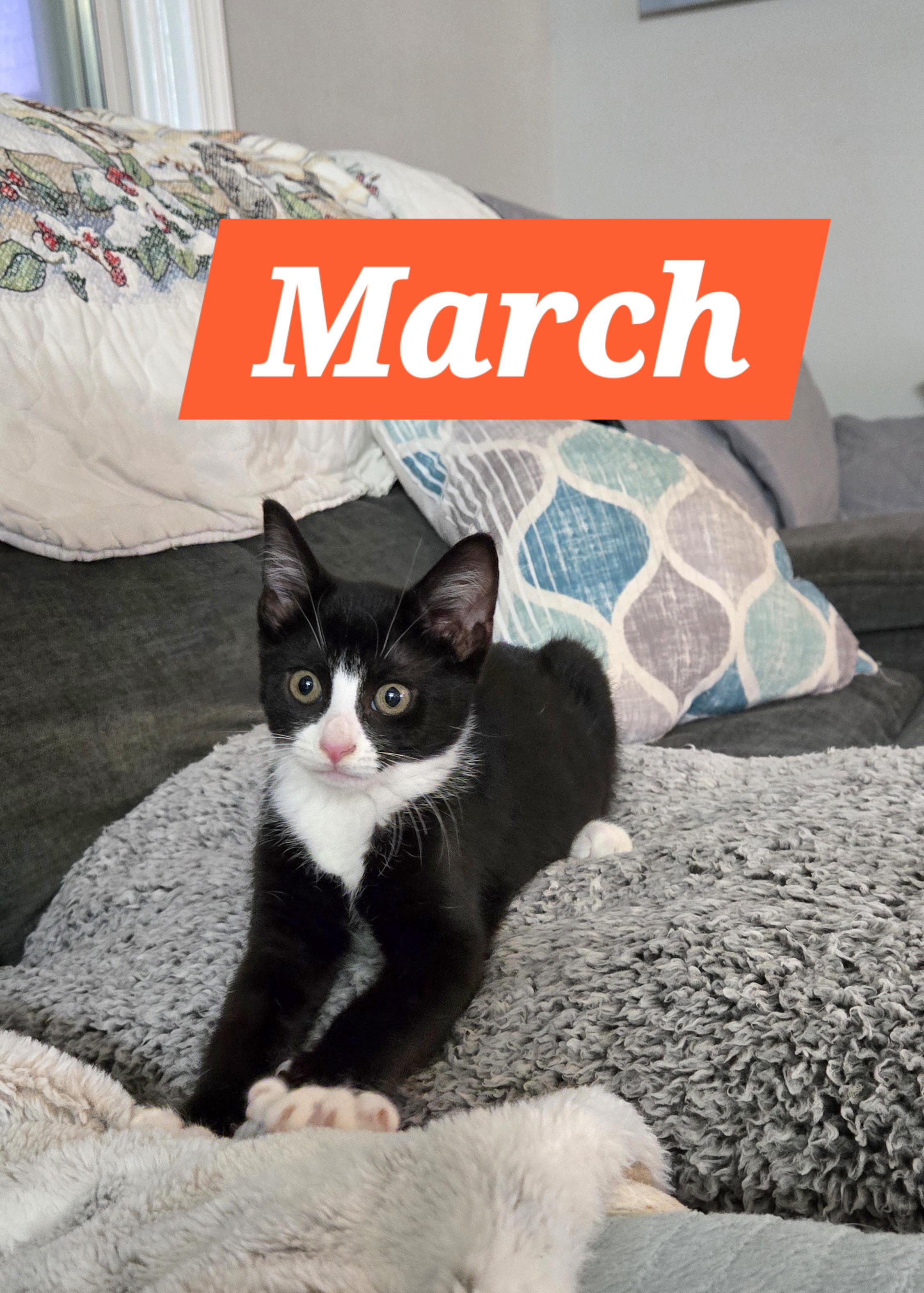 March (In Foster)