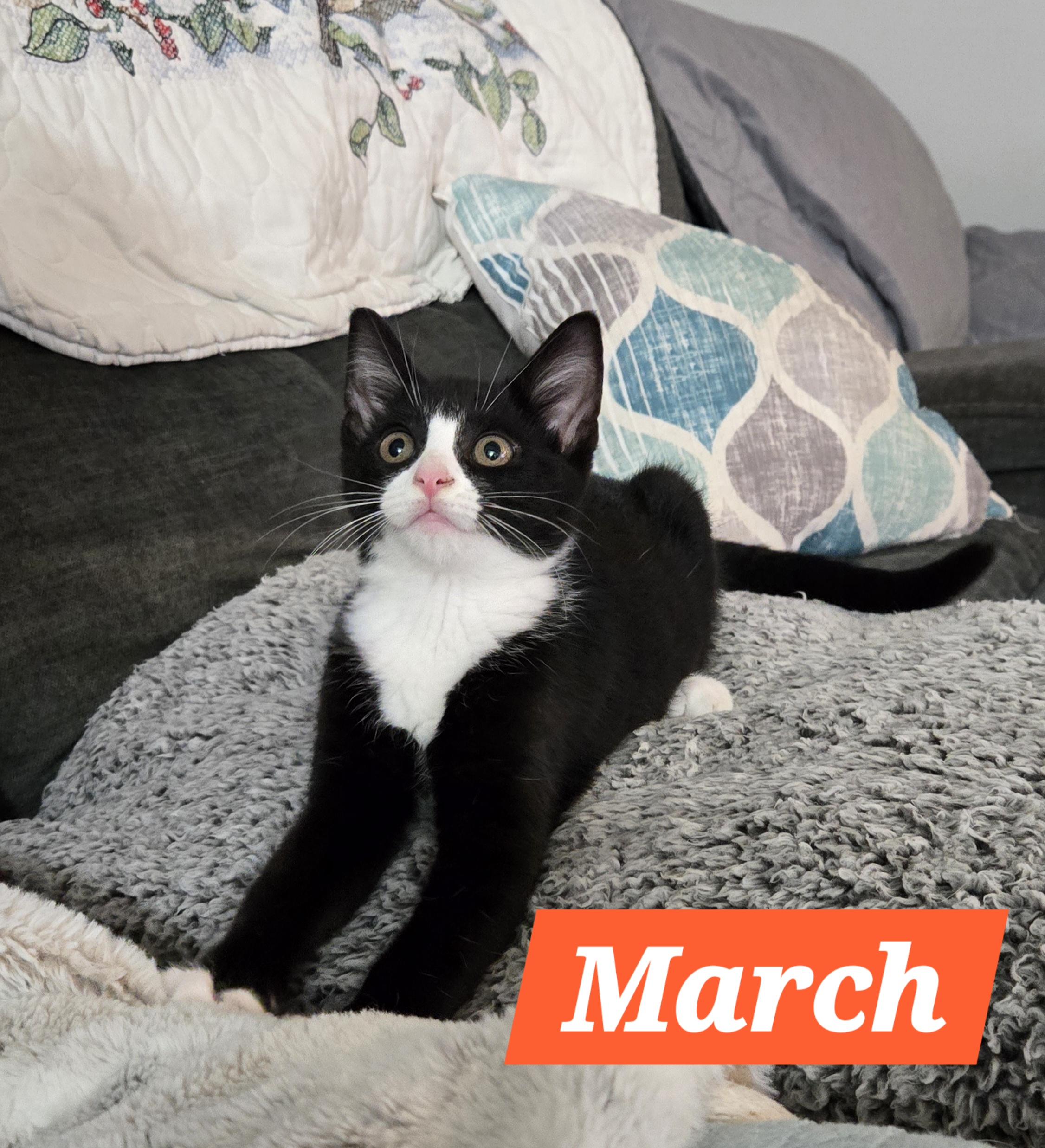 March (In Foster)