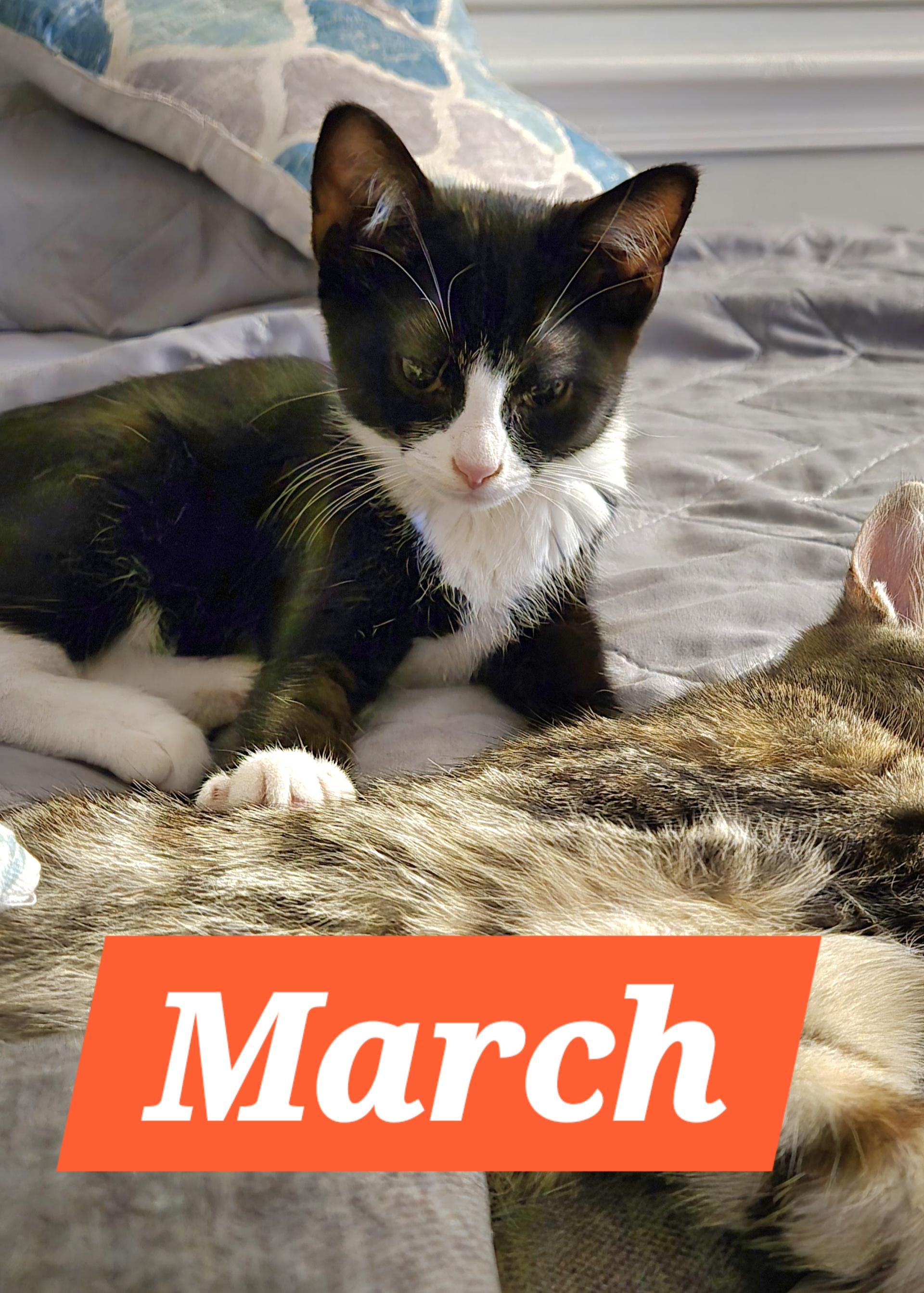 March (In Foster)