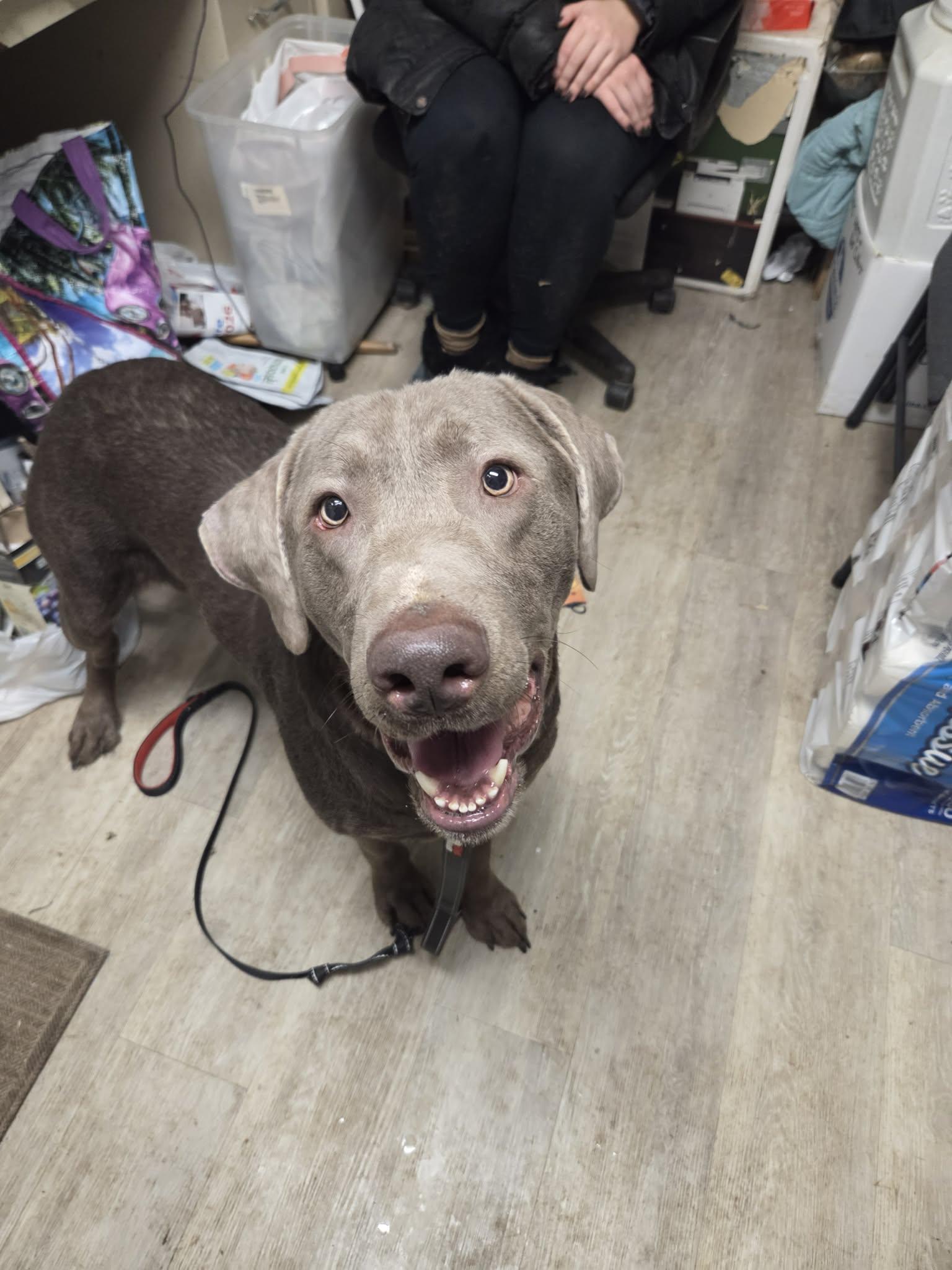 Smokeynot Accepting Applications Yet!