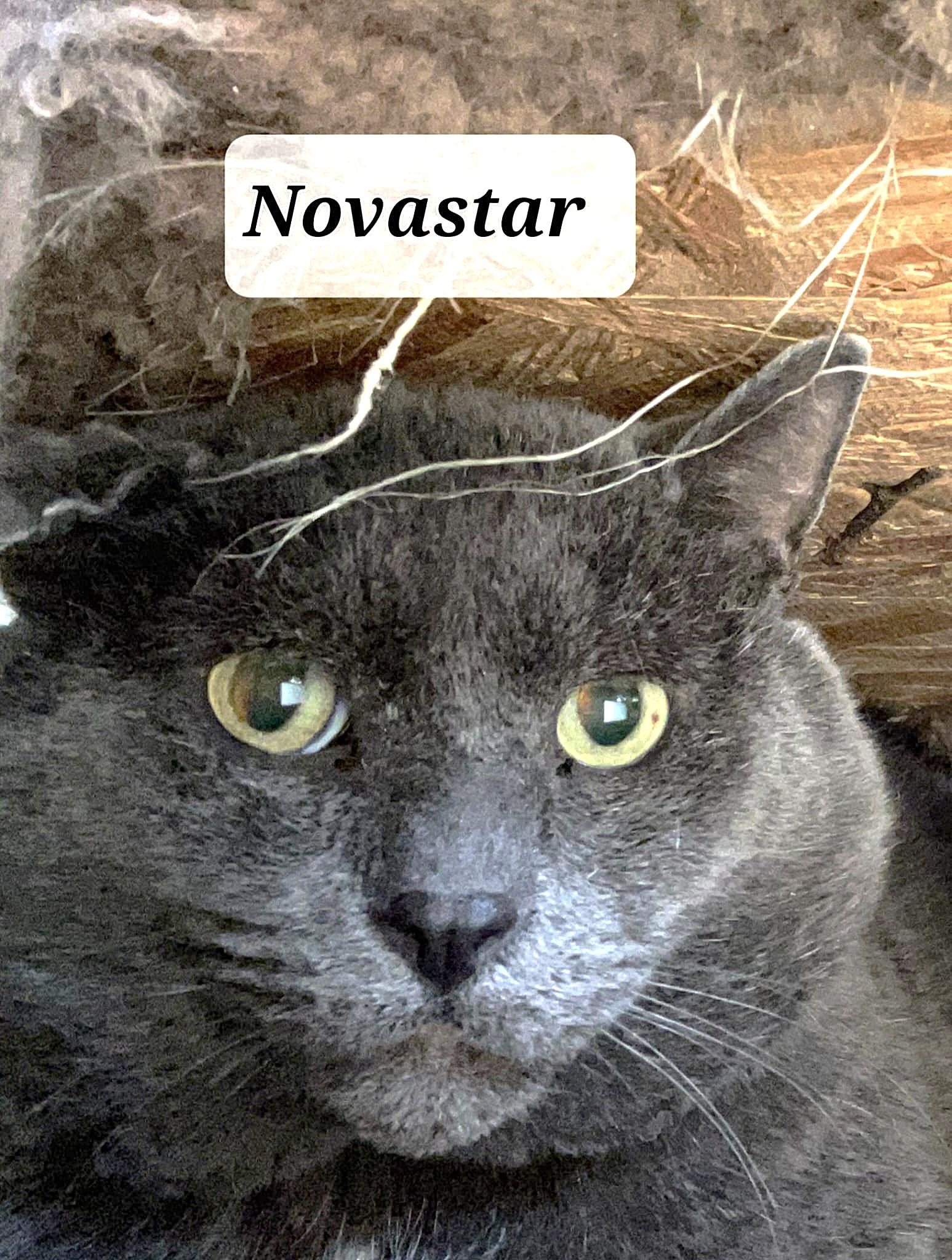 Novastar