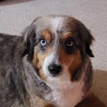 Gretchen — thumbnail 2