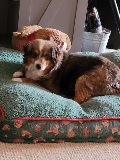 Gretchen — thumbnail 5