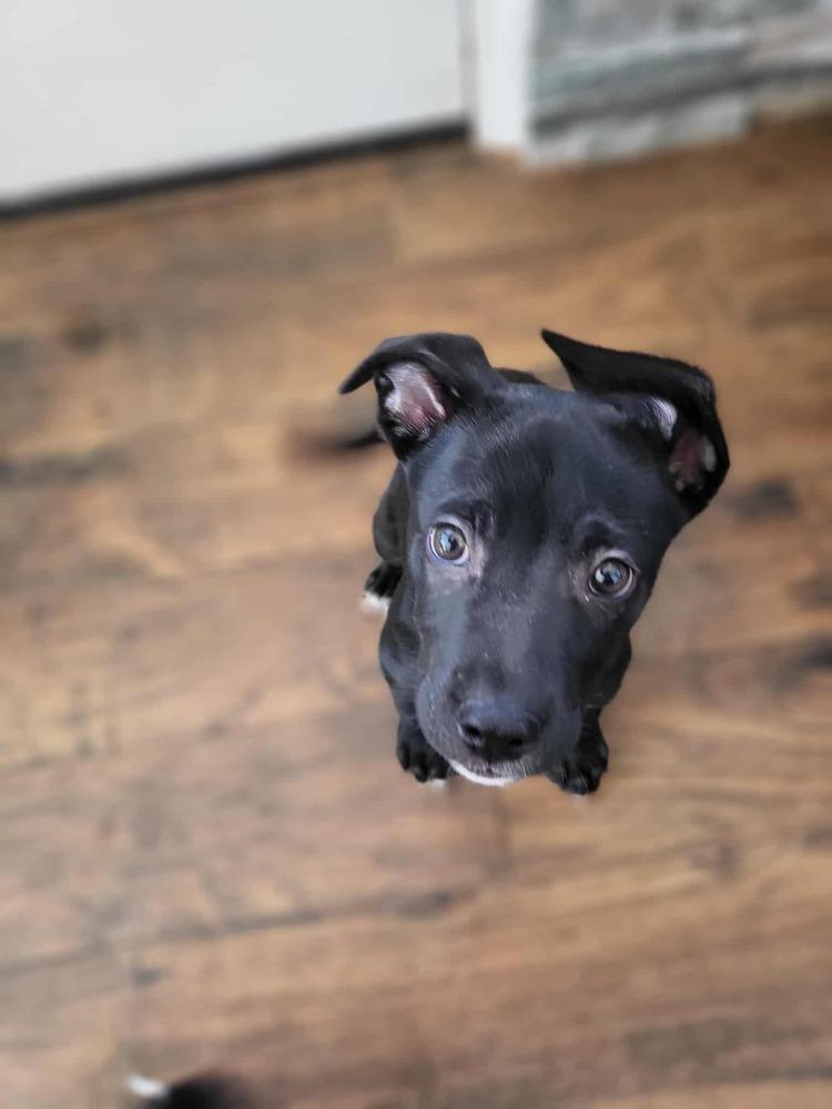 Sweet Candy Kitkat Red thumbnail 7