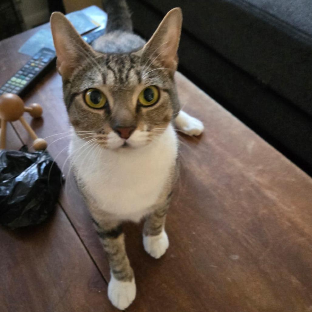 Liudmila — thumbnail 3