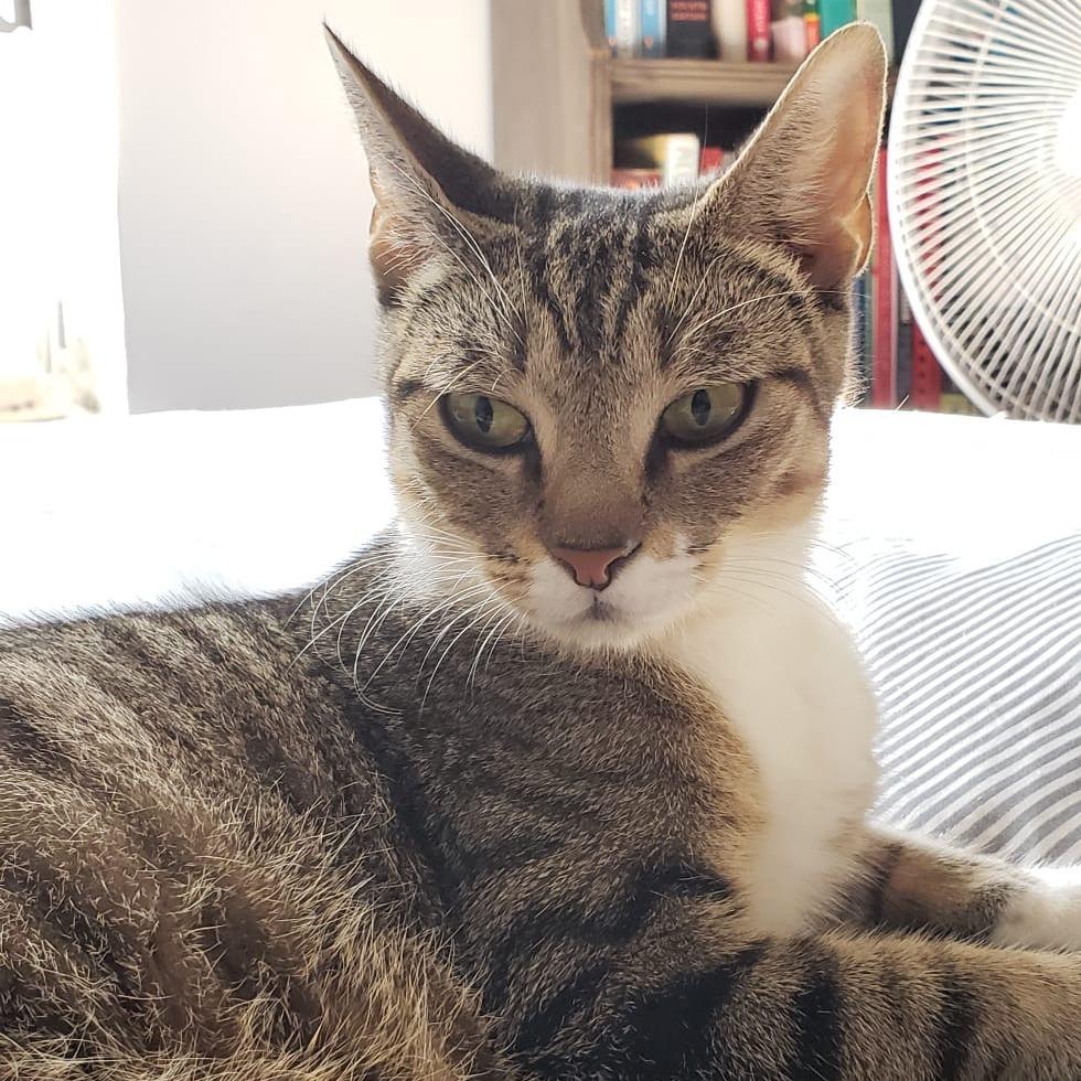 Liudmila — thumbnail 4