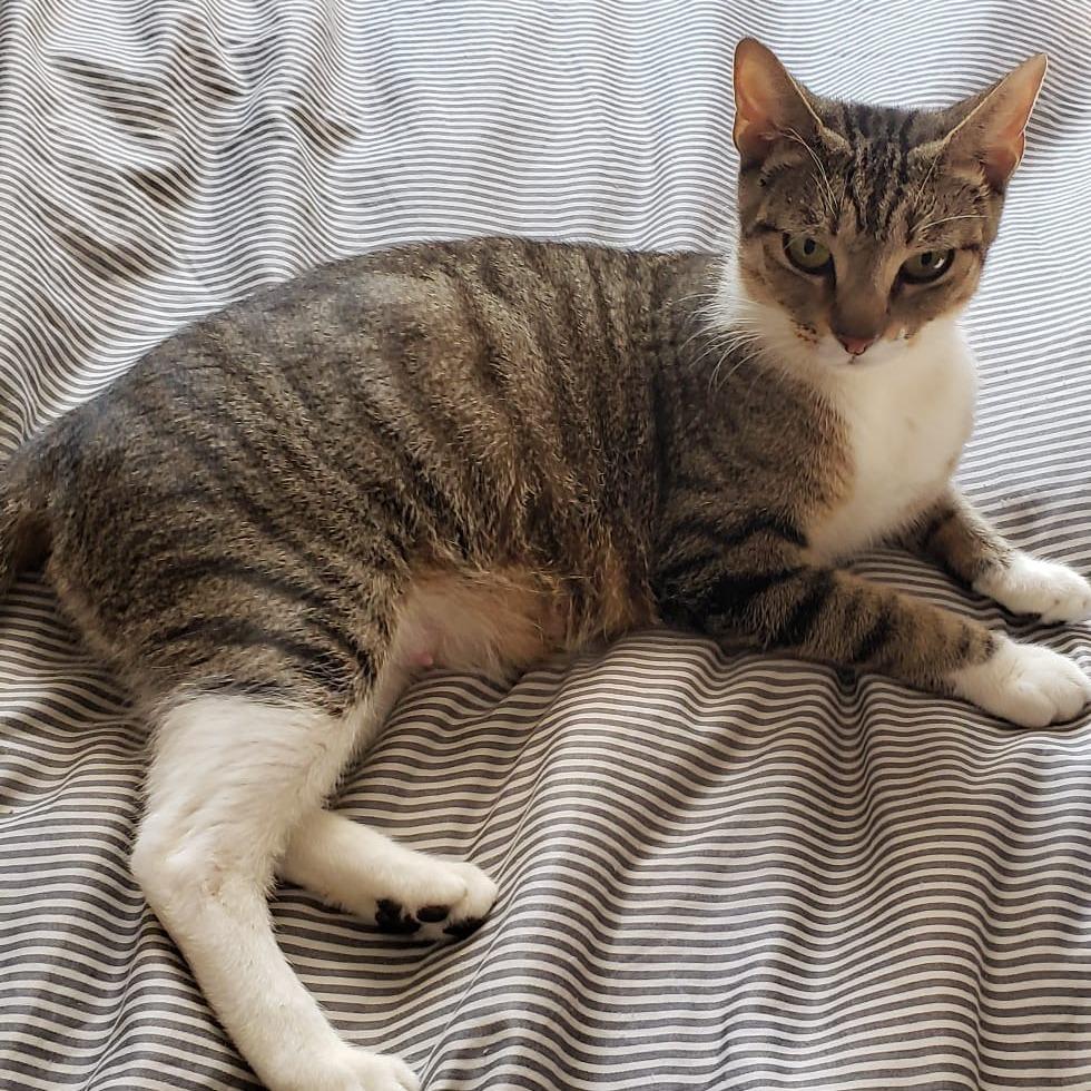 Liudmila — thumbnail 5