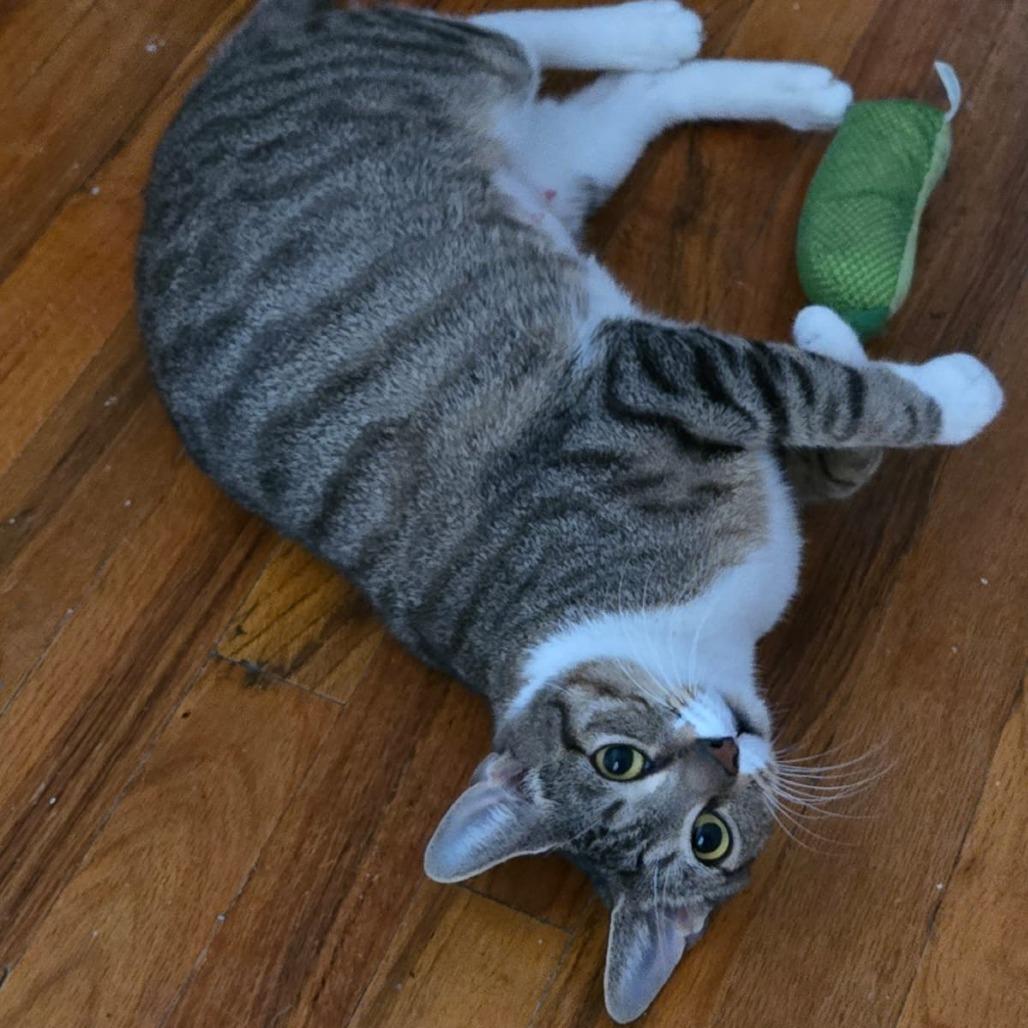 Liudmila — thumbnail 6