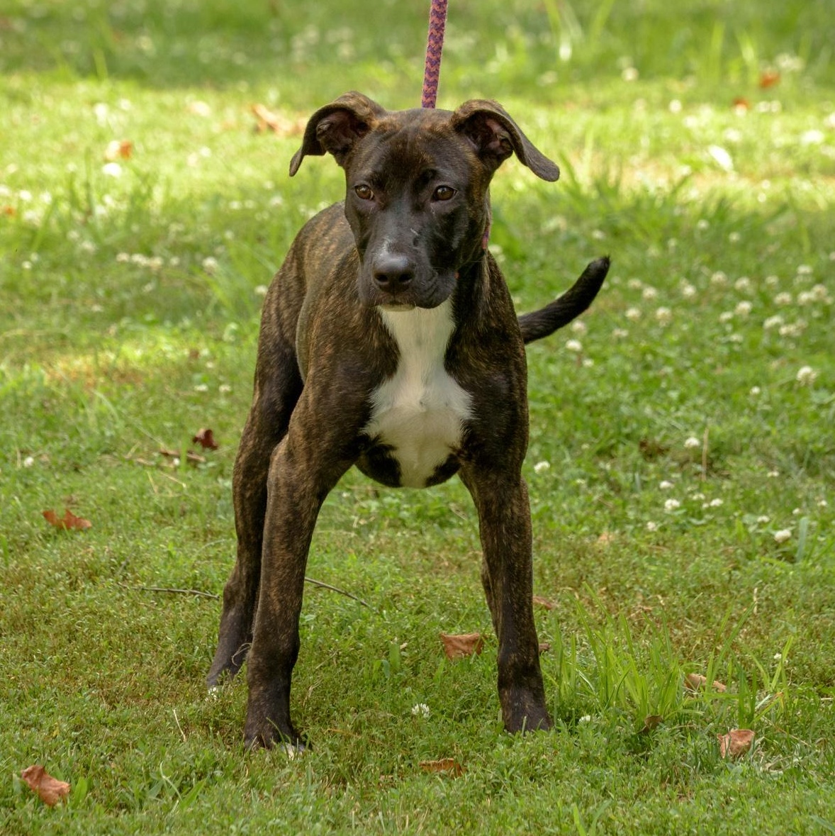 Penelope photo 4