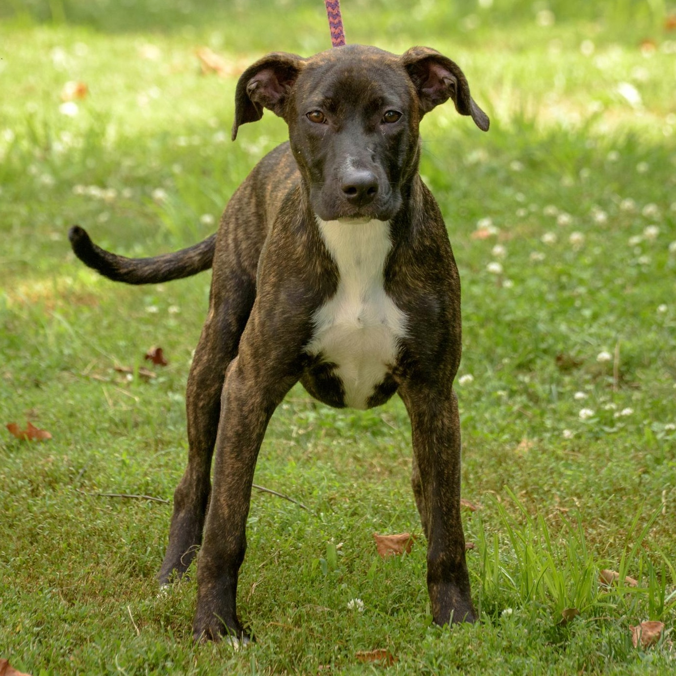 Penelope photo 2