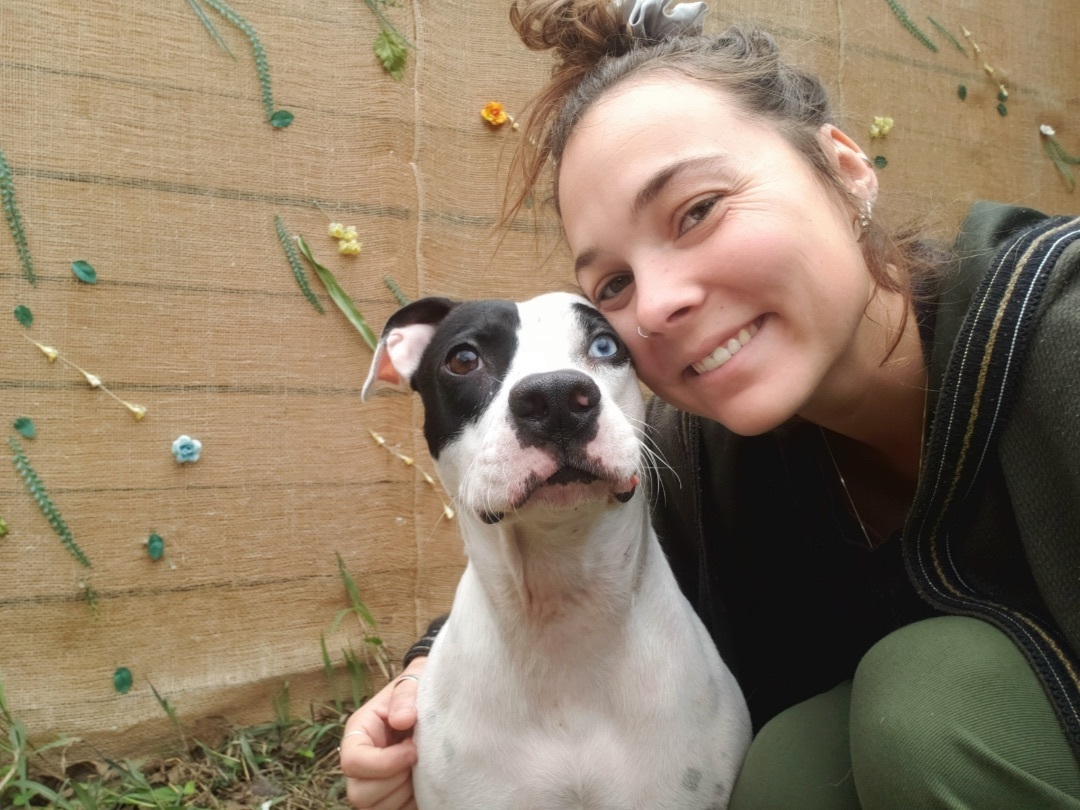 Skyla, an adoptable Pit Bull Terrier, Pointer in Georgetown, TX, 78633 | Photo Image 5