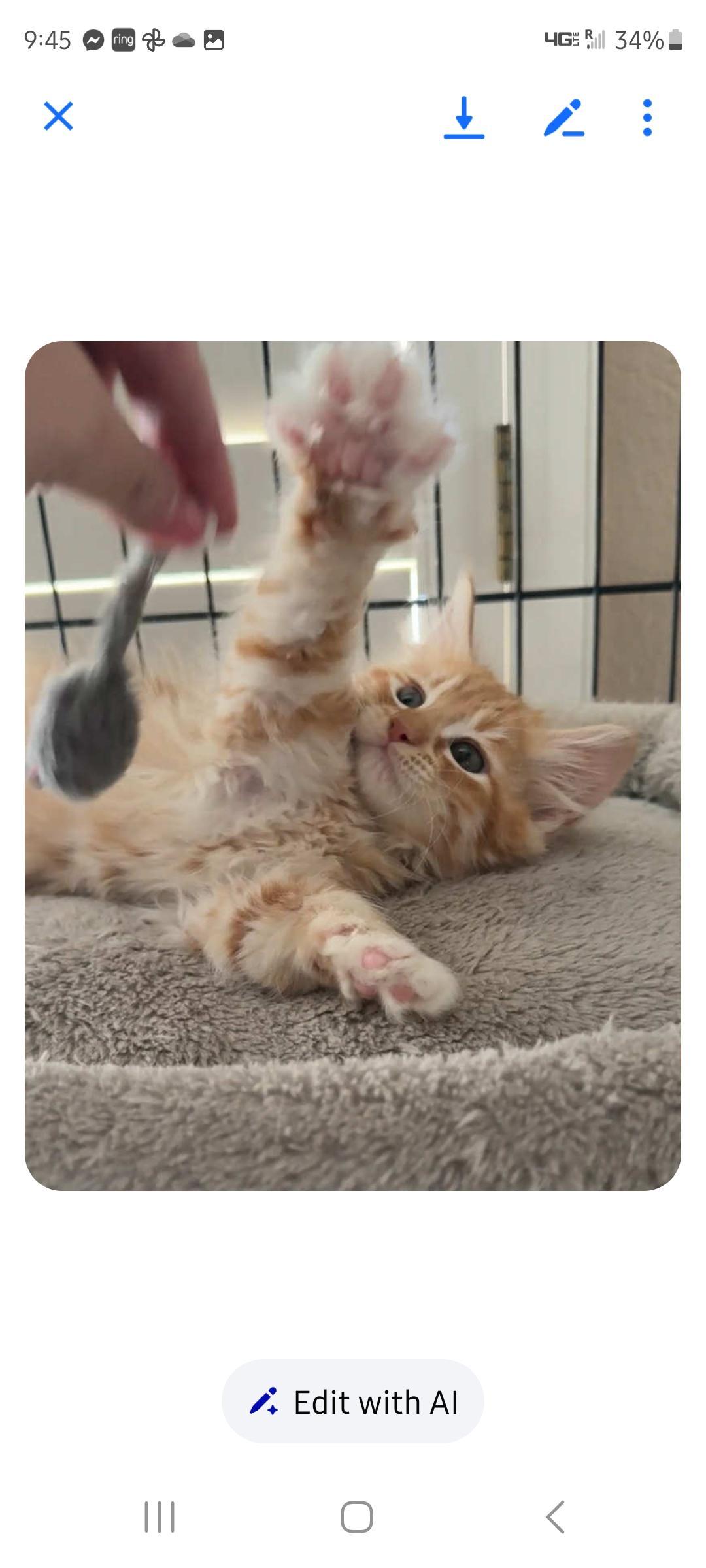 Pancake