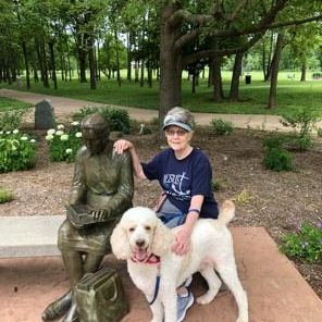 Van Halen, a ADOPTABLE Standard Poodle in Nixa, MO image 3/3