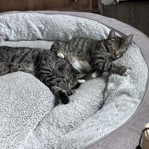 Ralph & Vennelope — thumbnail 2