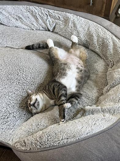 Ralph & Vennelope — thumbnail 4