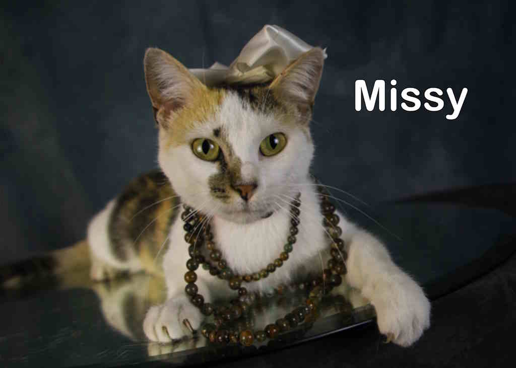 Missy