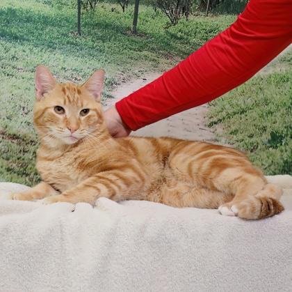 Small Fry — thumbnail 3