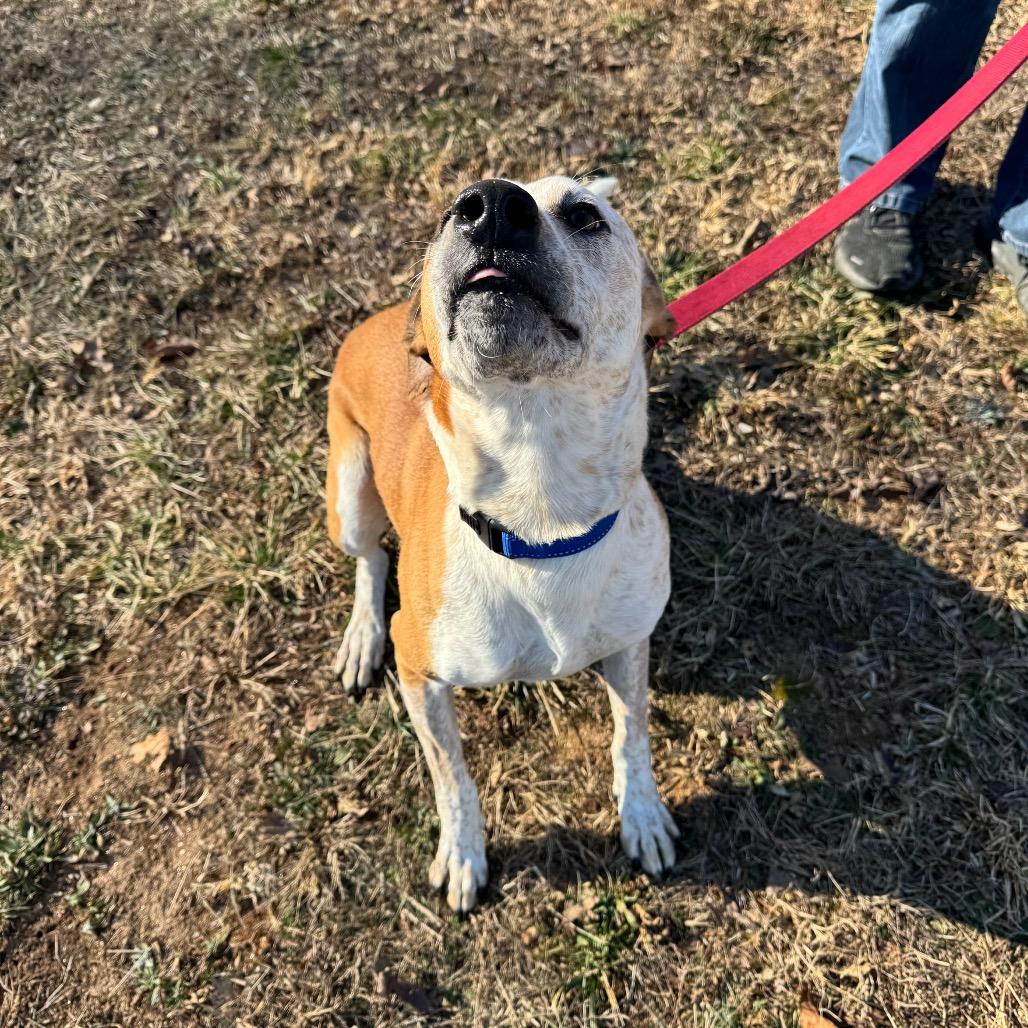 Buster photo
