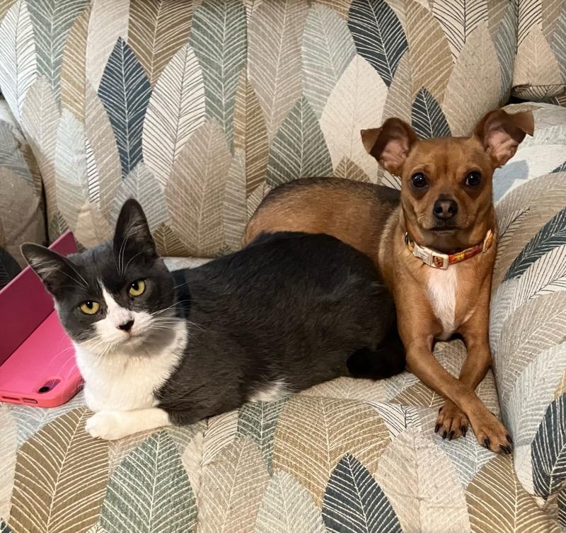 Birdie — thumbnail 5