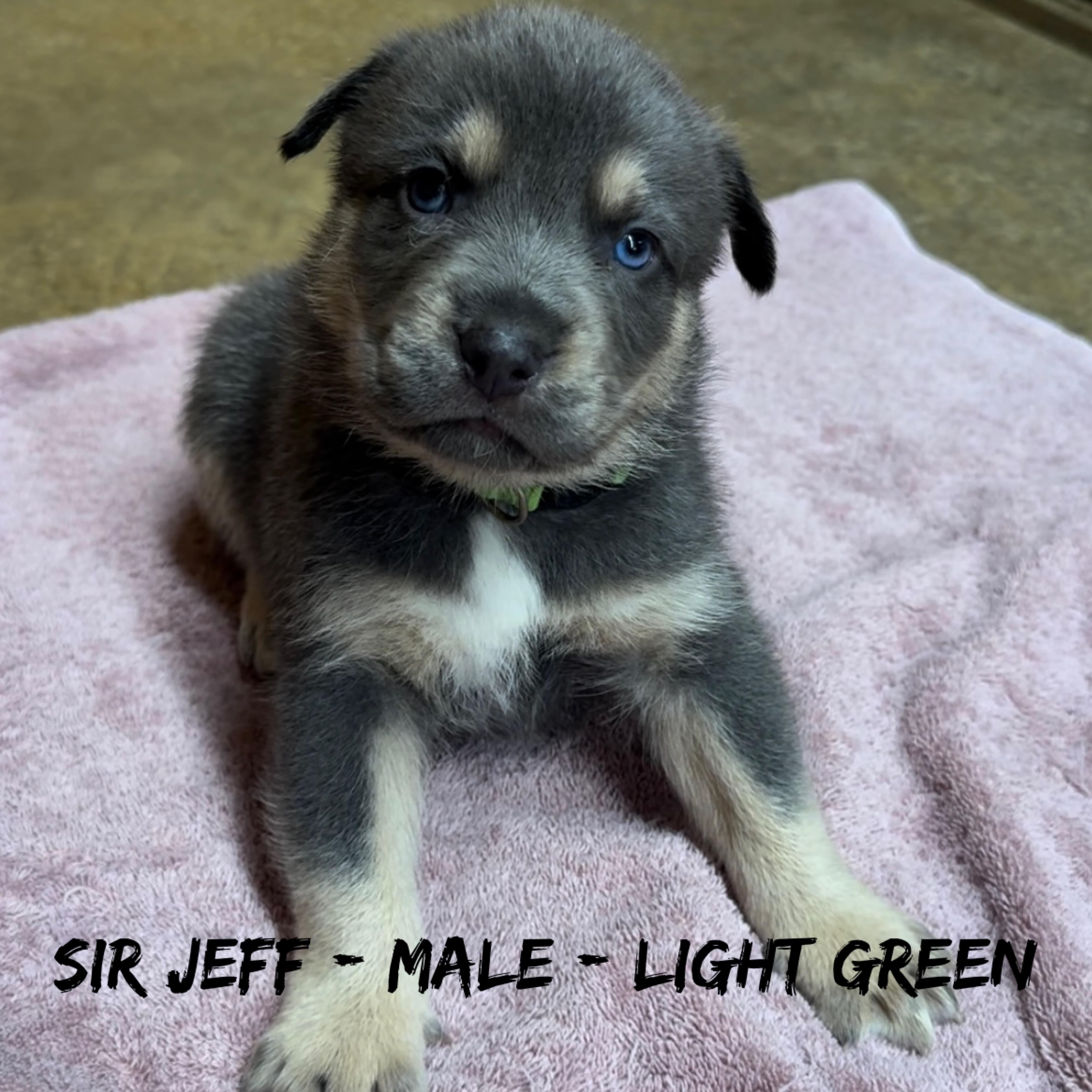 Sir Jeff