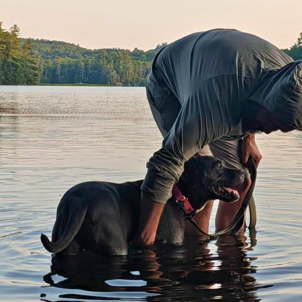 Enlarge Micah, a Adoptable Mixed Breed in South Portland, ME image 1/5