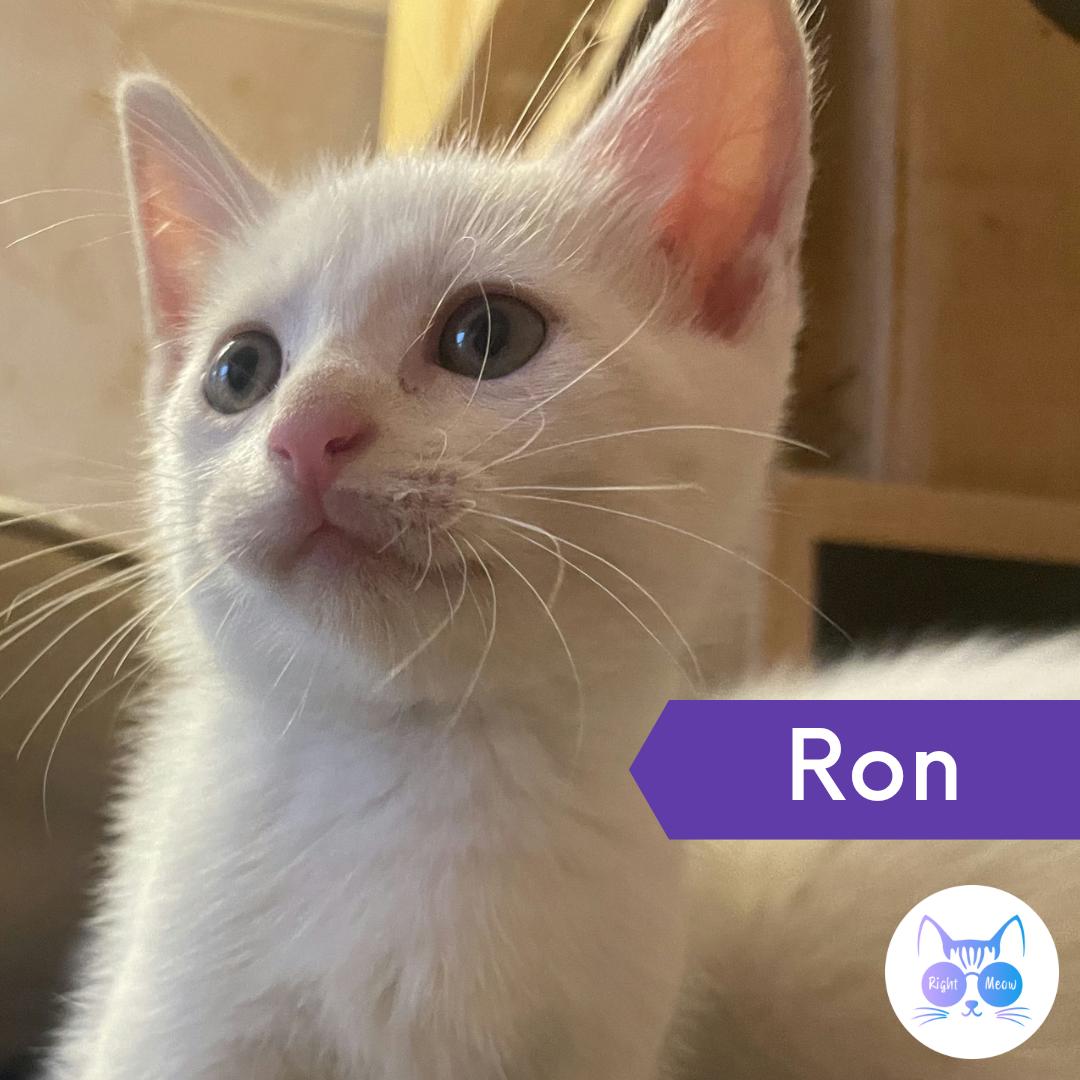 Ron