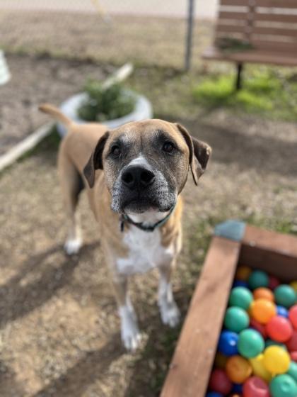 Zeus — thumbnail 2