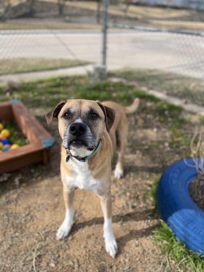 Zeus — thumbnail 4