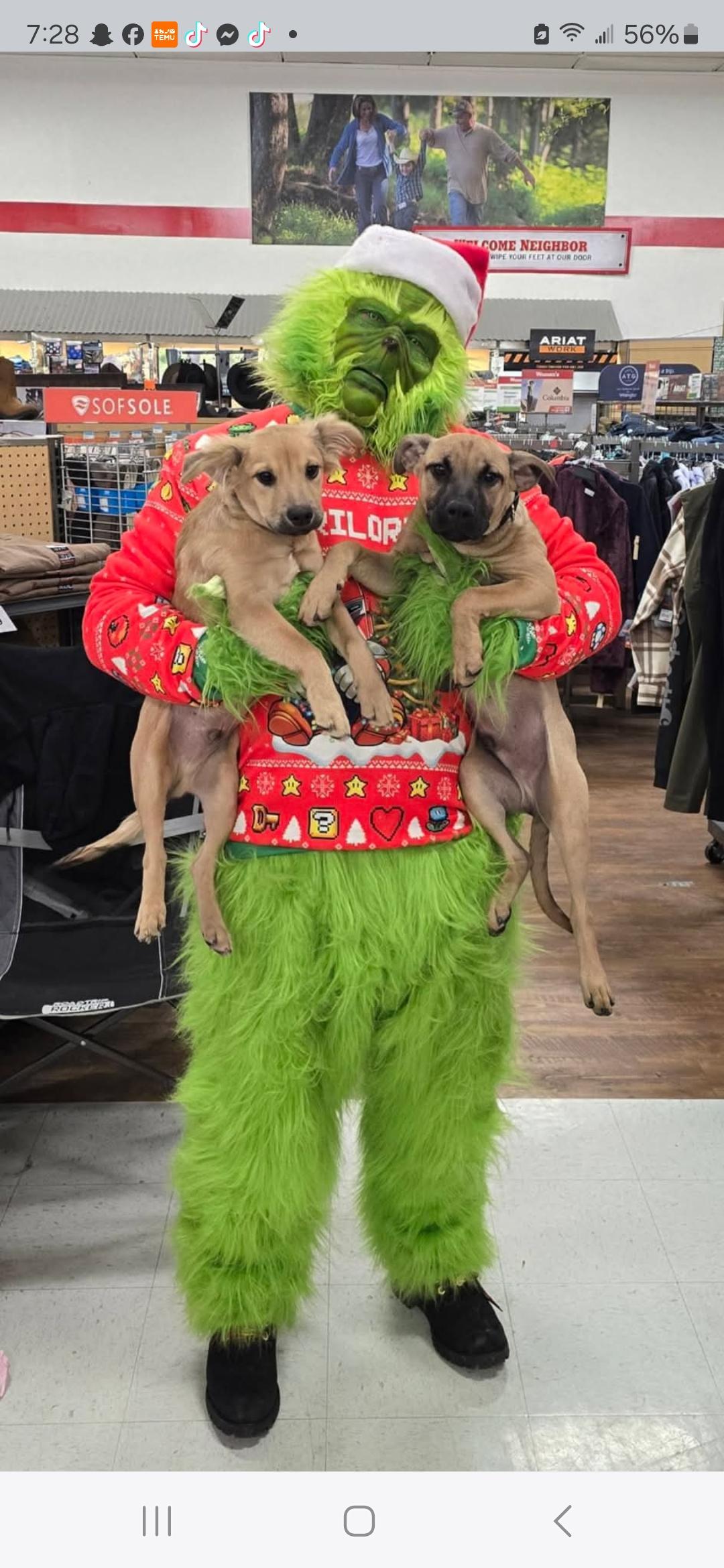Fozzy and Gonzo photo 3