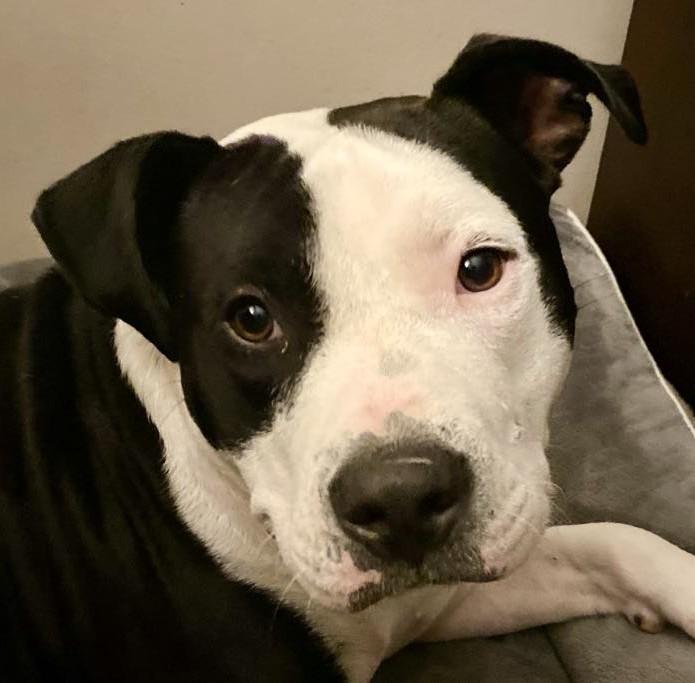 Petey