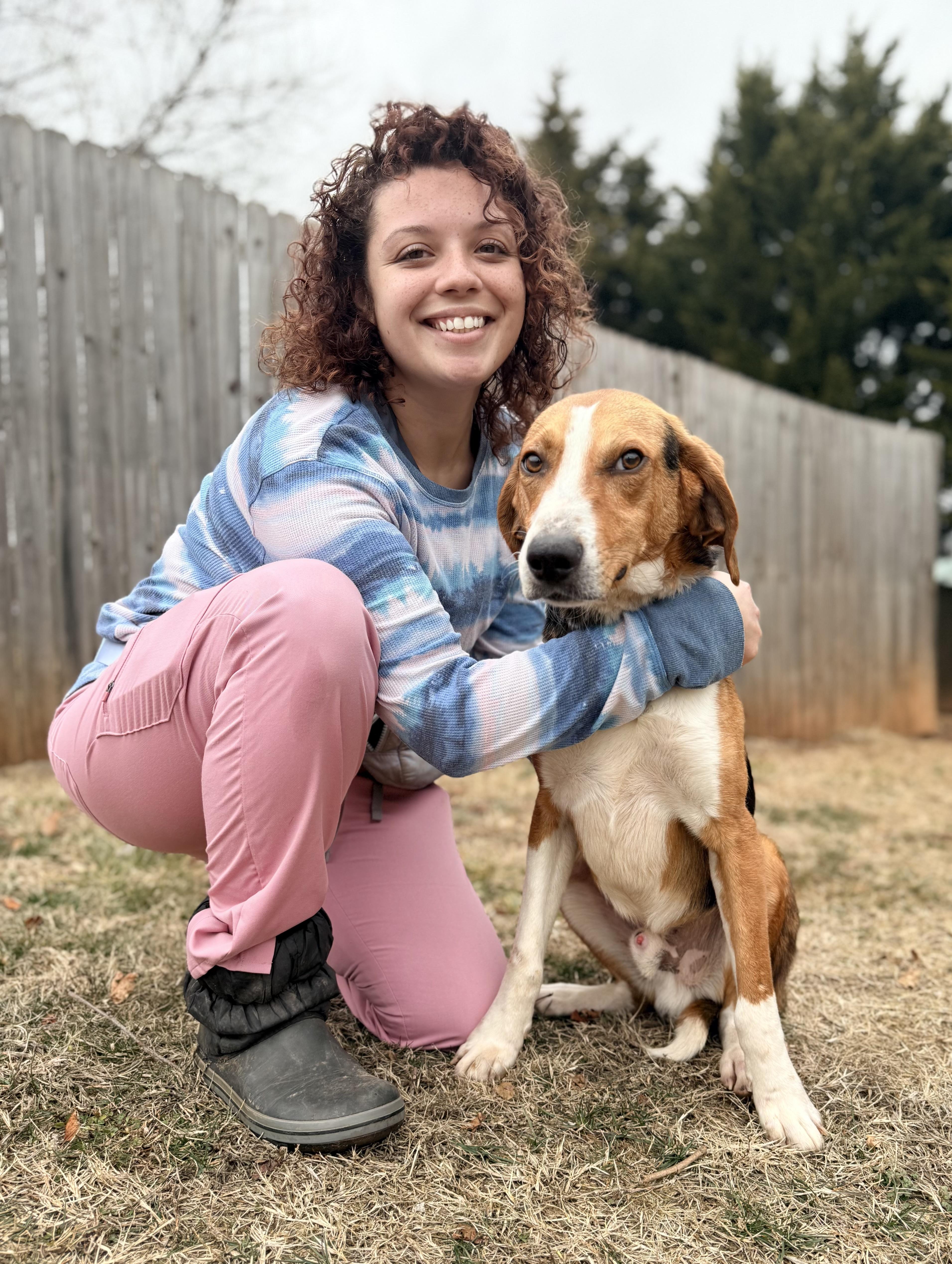 Daniel, a ADOPTABLE Hound in Catlett, VA image 2/5