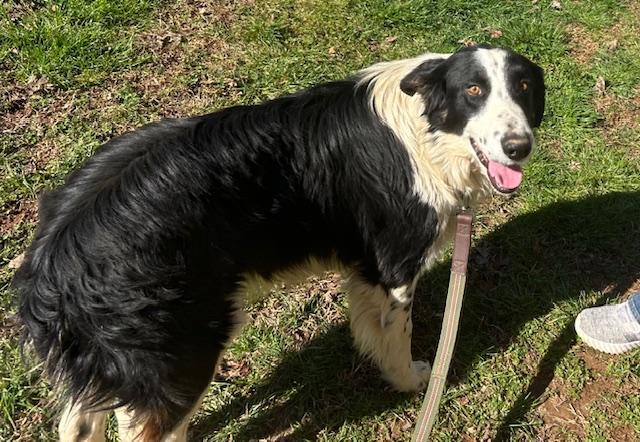 Ivar Talent — thumbnail 3