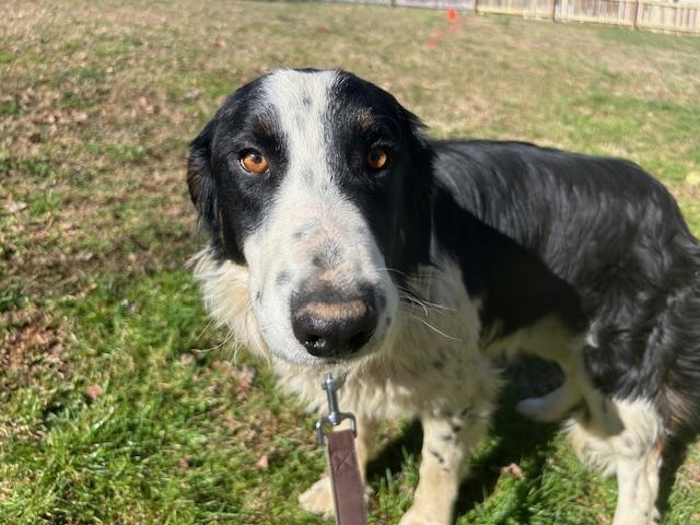 Ivar Talent — thumbnail 4