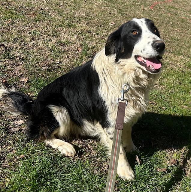 Ivar Talent — thumbnail 5