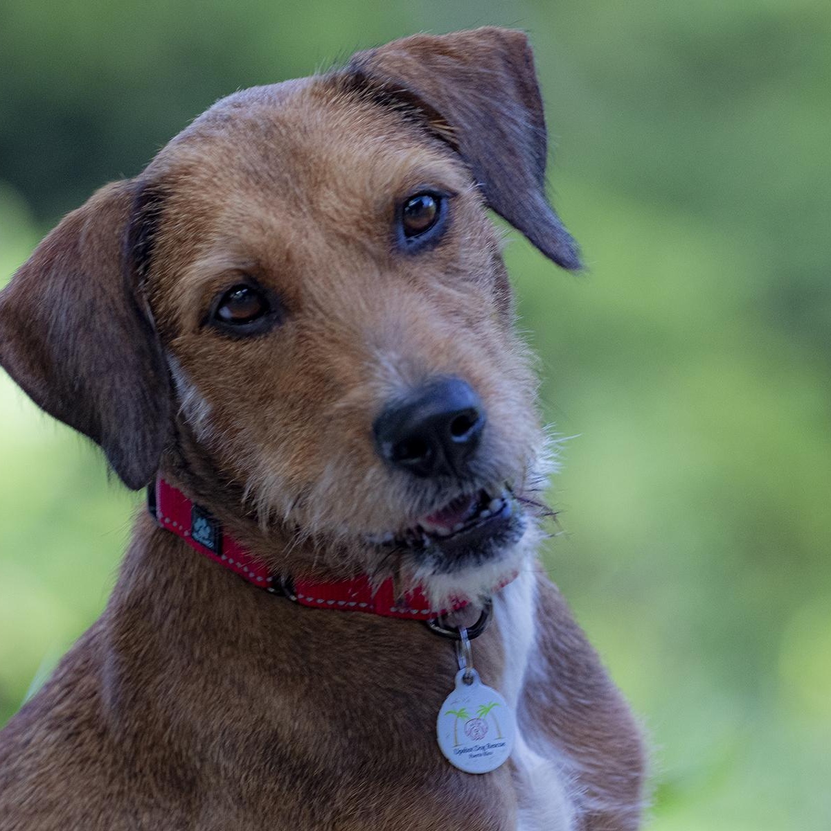 Harpershe Is Outstanding thumbnail 2