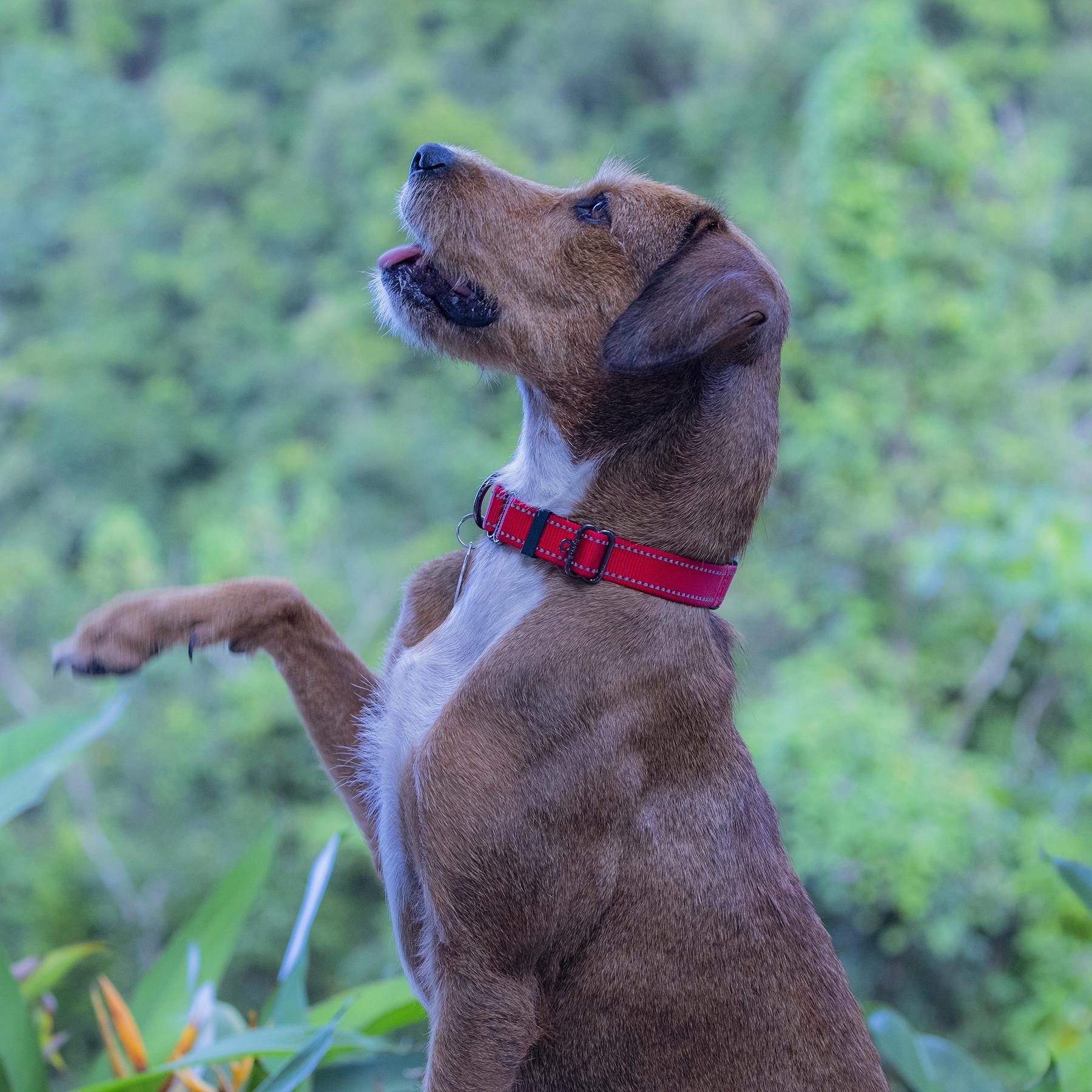 Harpershe Is Outstanding