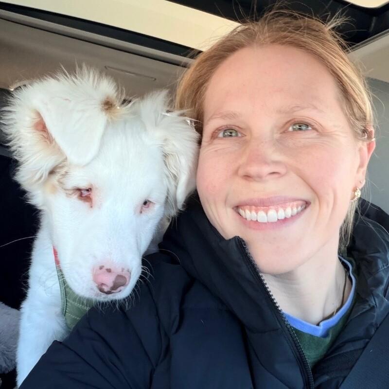 Enlarge Noble, a Adoptable mixed breed in Alma, WI image 2/5