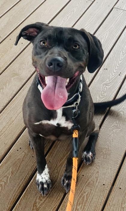 Genesis — thumbnail 3