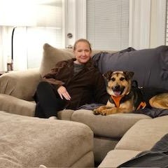 Dylan, a Adoptable mixed breed in Manhasset, NY image 5/6