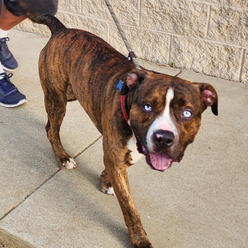 Blue C  Costa thumbnail 2