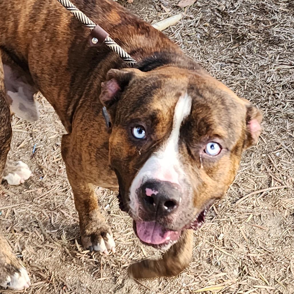 Blue C  Costa thumbnail 6