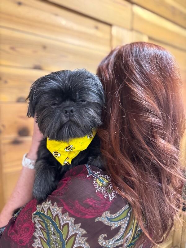 JoJo Hoverfluff — thumbnail 5