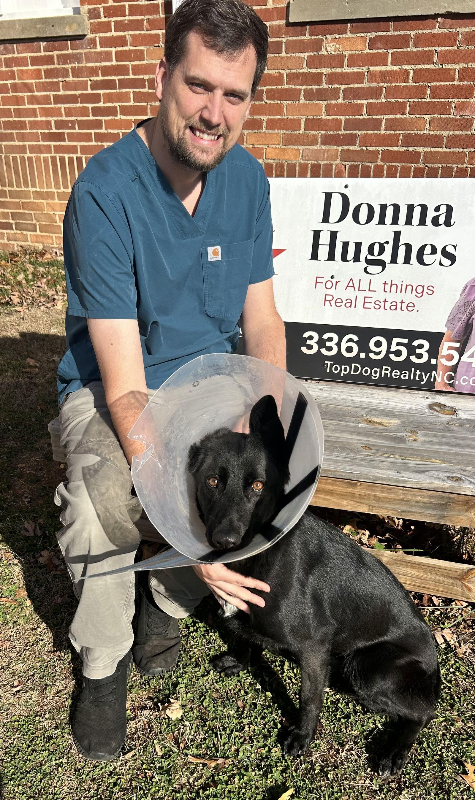 Noel, a Adoptable German Shepherd Dog in Baltimore, MD image 1/3