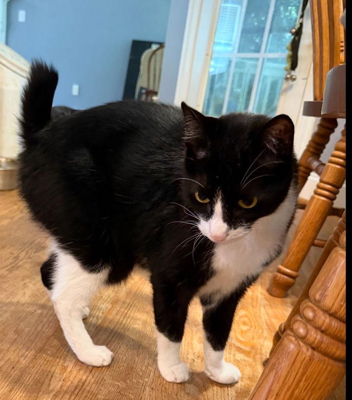 Remi  Nc thumbnail 3