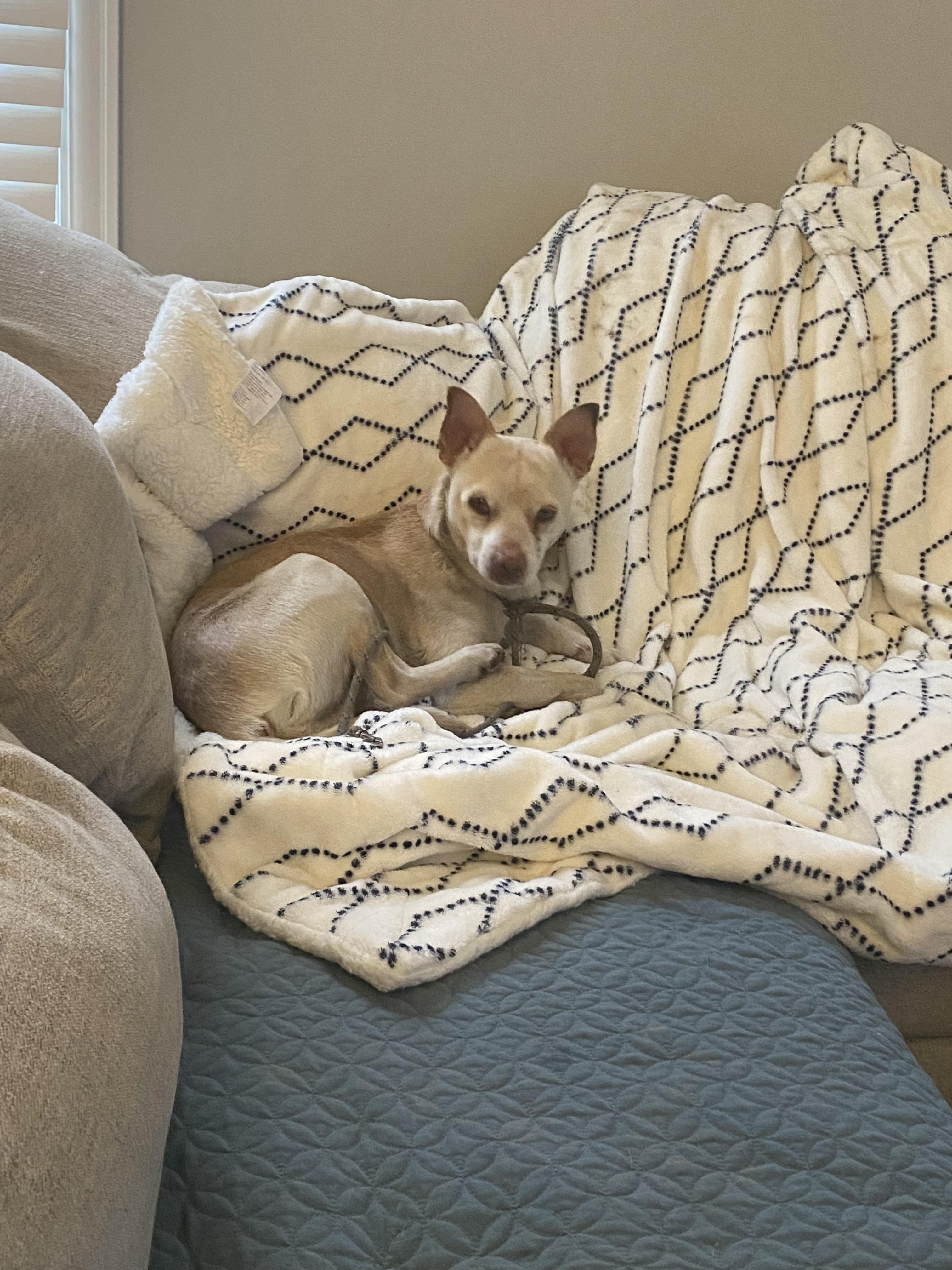 Little Andy thumbnail 2