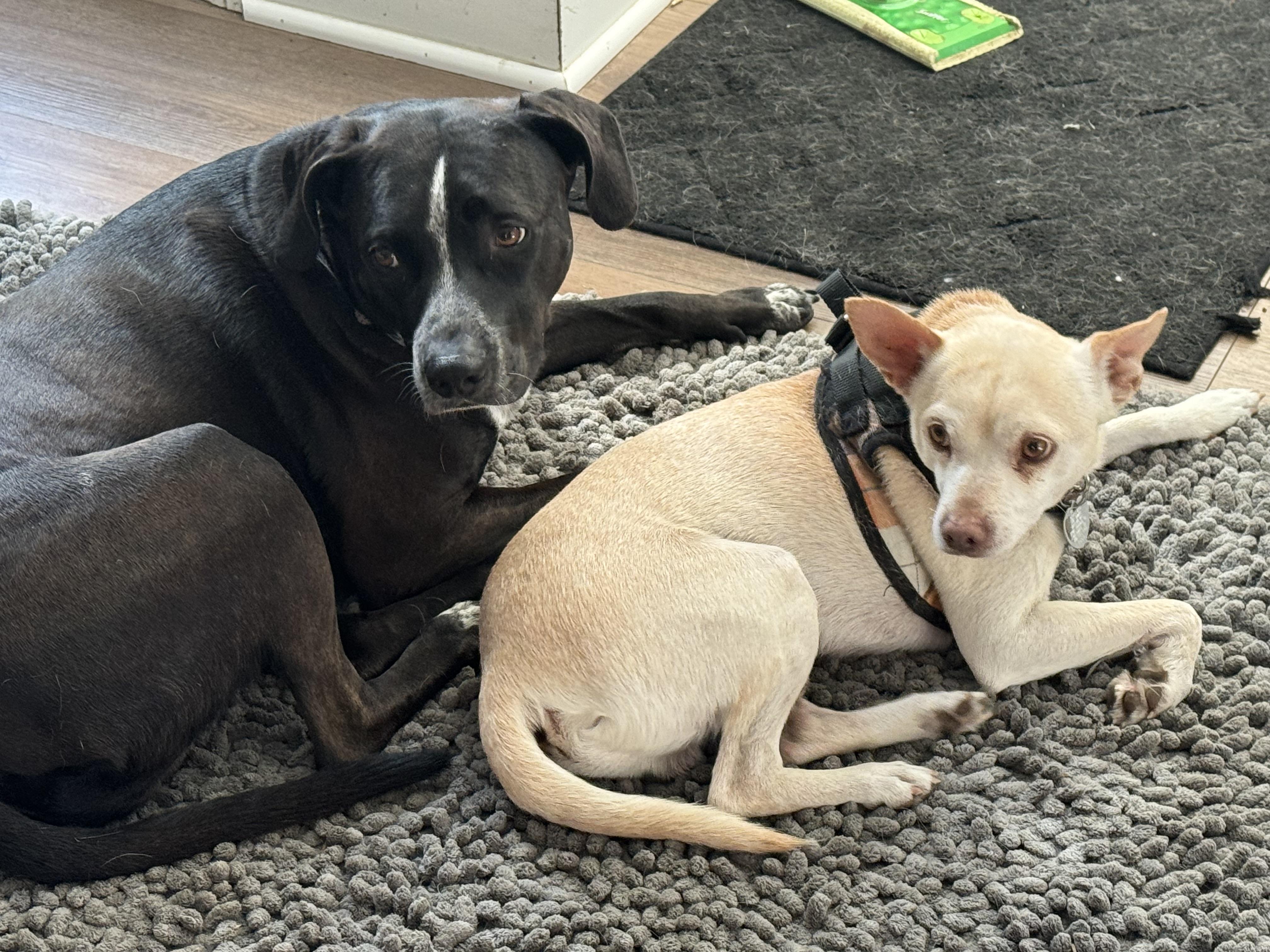 Little Andy thumbnail 3