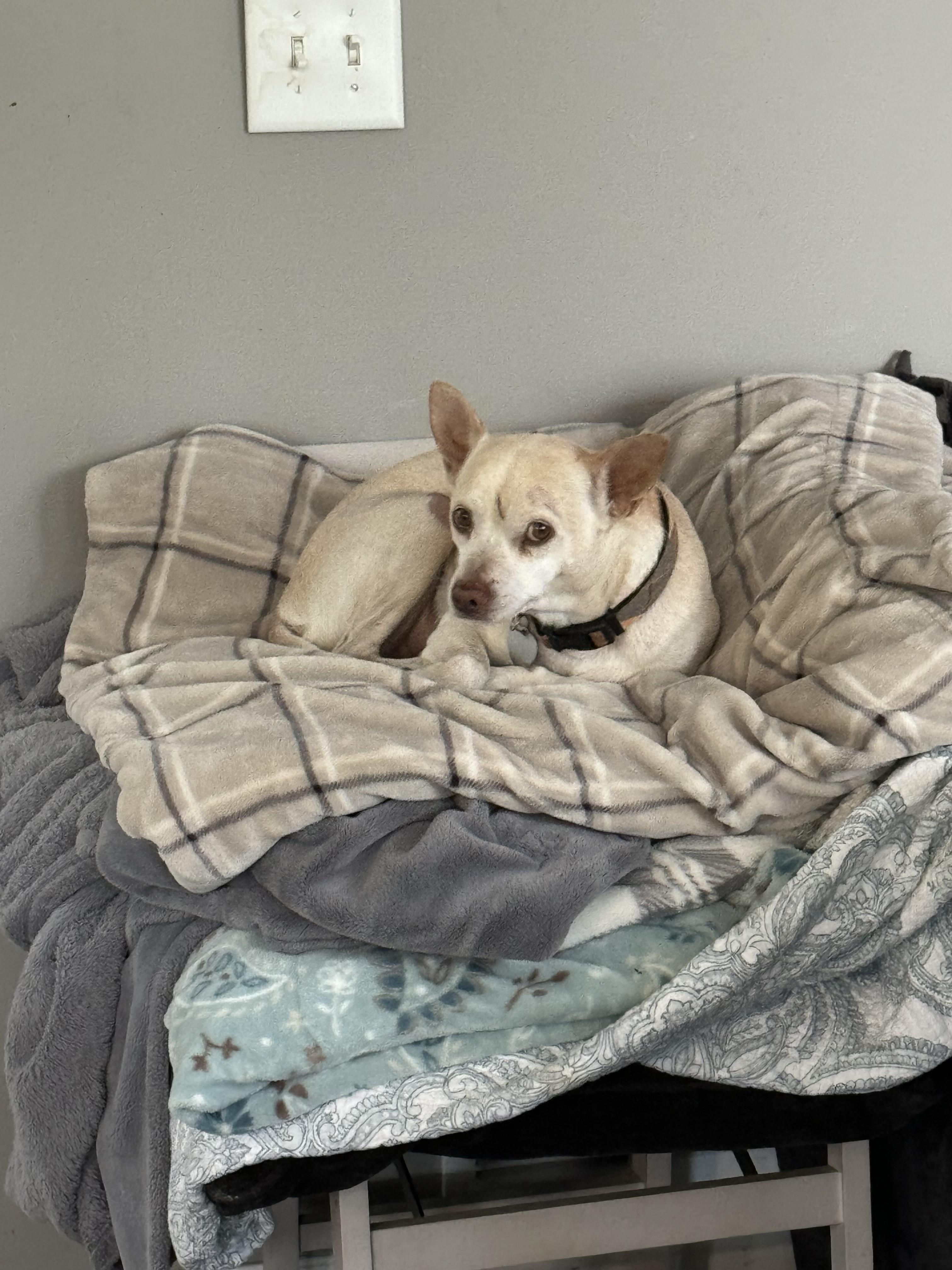 Little Andy thumbnail 6