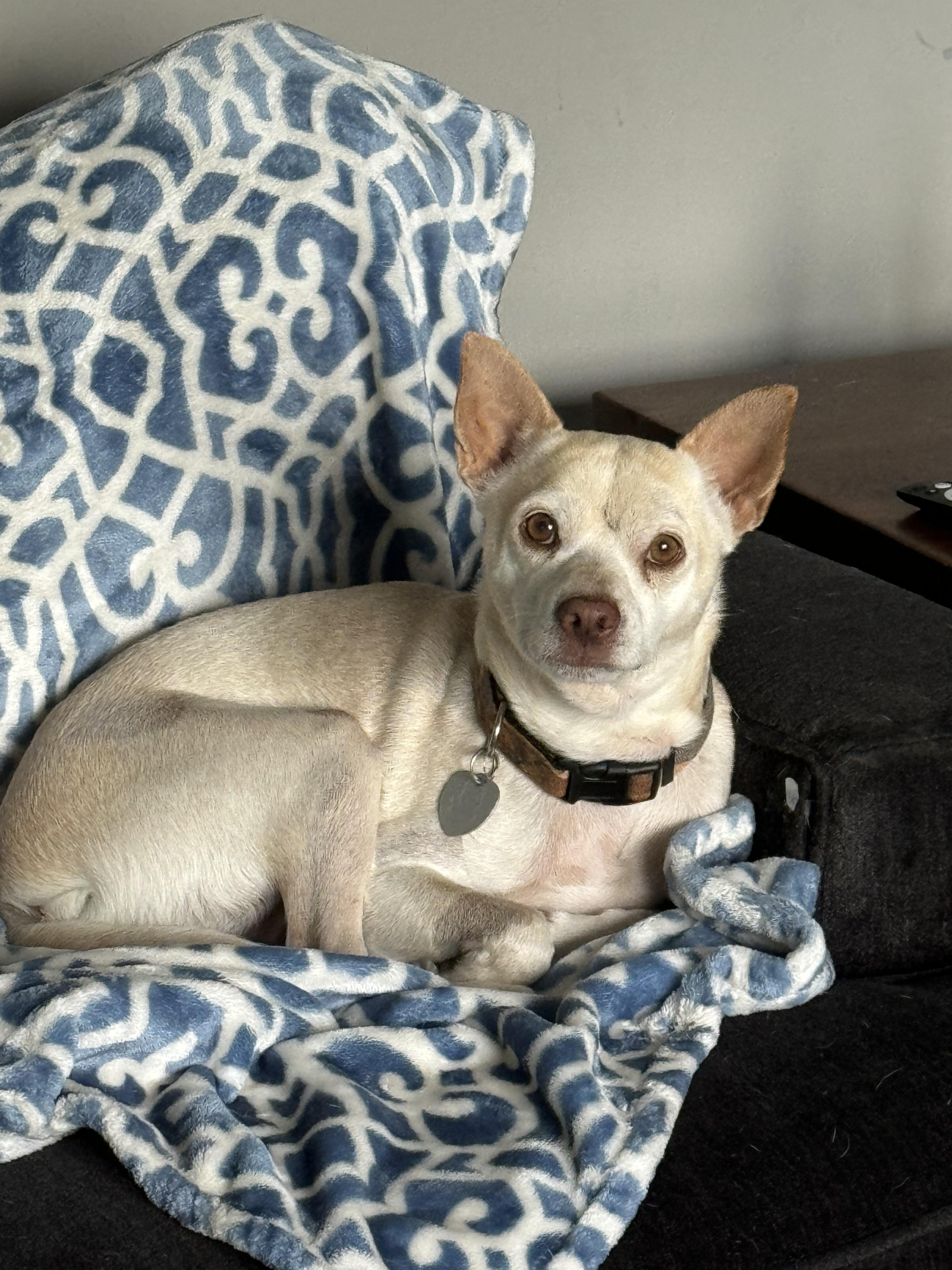 Little Andy thumbnail 7